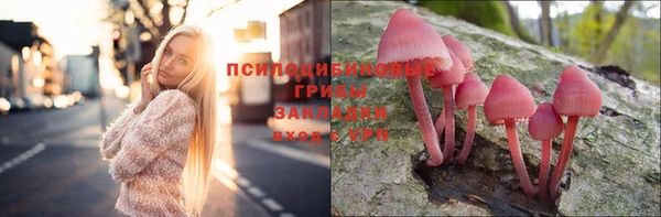 хмурый Михайлов