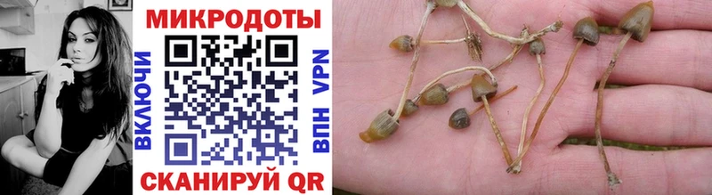 Псилоцибиновые грибы Psilocybine cubensis  Купить  Тайшет 