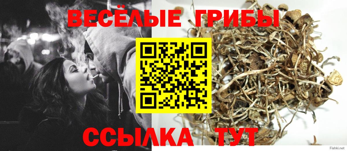 Тайшет  Псилоцибиновые грибы Magic Shrooms  Вход с VPN  Галлюциногенные грибы прущие грибы 