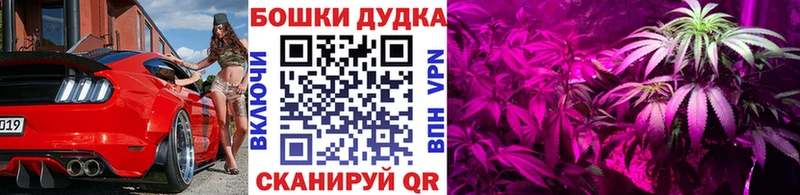 Конопля MAZAR  Купить где  Тайшет 
